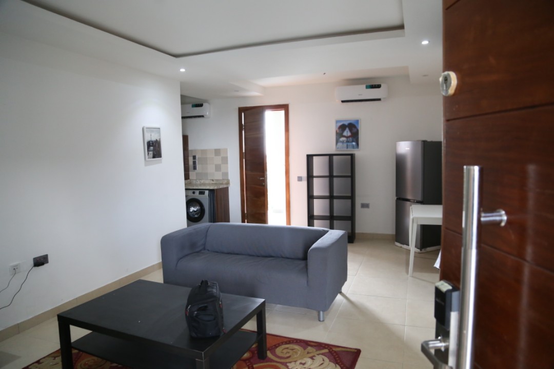 1 bedroom apartment